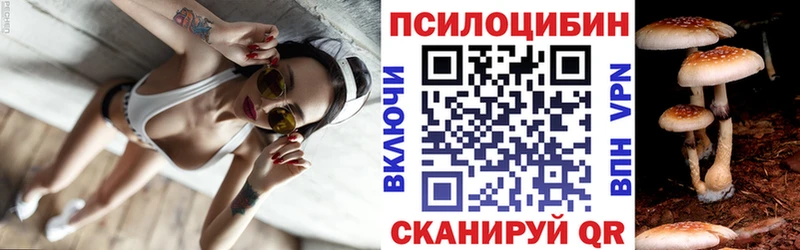 где купить   Касли  Галлюциногенные грибы Magic Shrooms 
